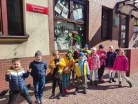Zdjęcie: 11