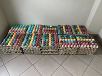 Zdjęcie: 1