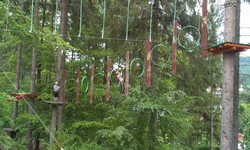 Zdjęcie: 13