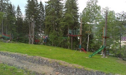Zdjęcie: 20