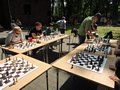Zdjęcie: 130