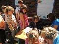 Zdjęcie: 133