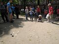 Zdjęcie: 149