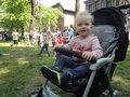 Zdjęcie: 39