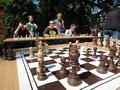 Zdjęcie: 44
