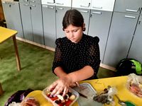 Zdjęcie: 16