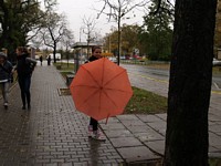 Zdjęcie: 104
