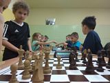 Zdjęcie: 2