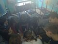 Zdjęcie: 5