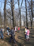 Zdjęcie: 11