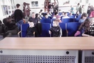 Zdjęcie: 7