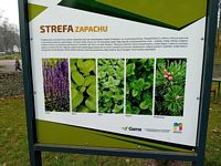 Zdjęcie: 6
