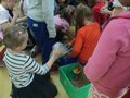 Zdjęcie: 11
