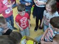 Zdjęcie: 13