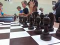 Zdjęcie: 6