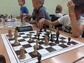 Zdjęcie: 7