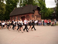 Zdjęcie: 11