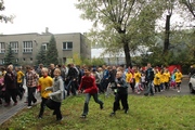 Zdjęcie: 173