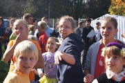 Zdjęcie: 5