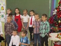 Zdjęcie: 11