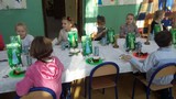 Zdjęcie: 8