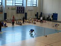Zdjęcie: 25