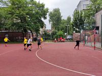 Zdjęcie: 11