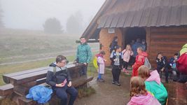 Zdjęcie: 12