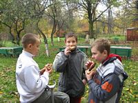 Zdjęcie: 7
