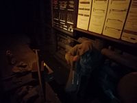 Zdjęcie: 15