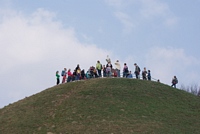 Zdjęcie: 16