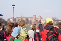 Zdjęcie: 17
