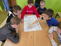 Zdjęcie: 12