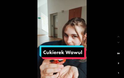 Dzień kota