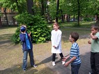 Zdjęcie: 3