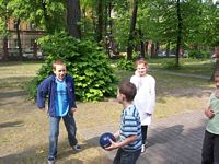 Zdjęcie: 4