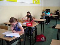 Zdjęcie: 6