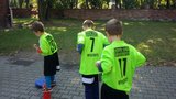 Zdjęcie: 15