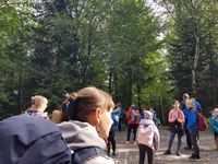 Zdjęcie: 12
