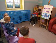 Zdjęcie: 14
