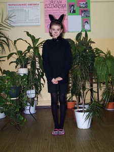 Zdjęcie: 31