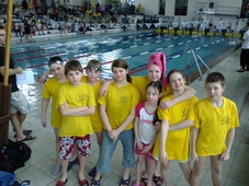 Zdjęcie: 6