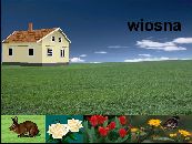 Plakat: 12