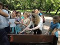 Zdjęcie: 144