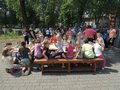 Zdjęcie: 184
