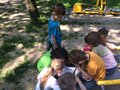 Zdjęcie: 230