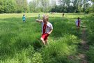 Zdjęcie: 41
