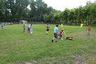 Zdjęcie: 65