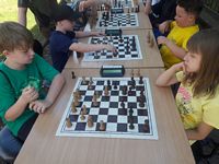 Zdjęcie: 29