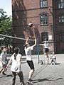 Zdjęcie: 51